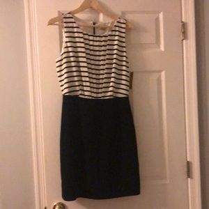 NWT! Cremieux womens sleeveless dress